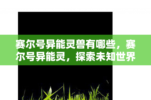 赛尔号异能灵兽有哪些,赛尔号异能灵,探索未知世界的奇妙之旅 赛尔号异能灵兽有哪些,赛尔号异能灵,探索未知世界的奇妙之旅