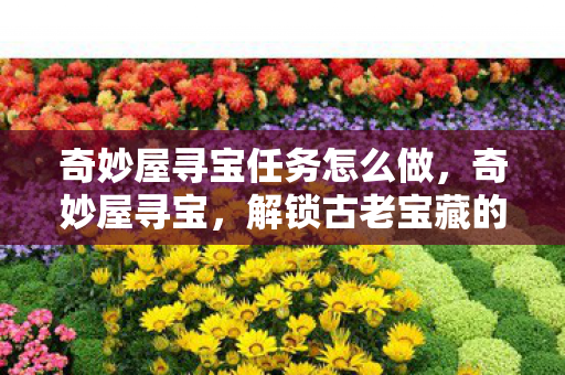 奇妙屋寻宝任务怎么做,奇妙屋寻宝,解锁古老宝藏的奇幻之旅 奇妙屋寻宝任务怎么做,奇妙屋寻宝,解锁古老宝藏的奇幻之旅