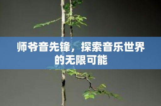 师爷音先锋,探索音乐世界的无限可能 师爷音先锋,探索音乐世界的无限可能