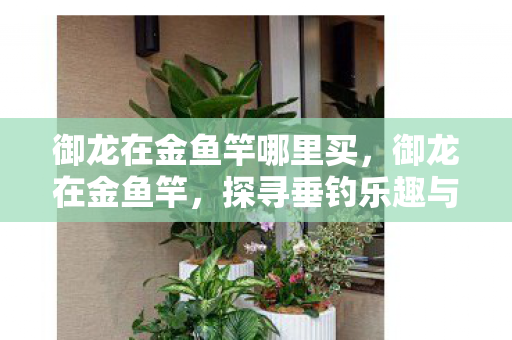 御龙在金鱼竿哪里买，御龙在金鱼竿，探寻垂钓乐趣与技艺的完美结合