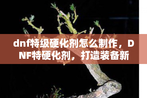 dnf特级硬化剂怎么制作,DNF特硬化剂,打造装备新境界的必备材料 dnf特级硬化剂怎么制作,DNF特硬化剂,打造装备新境界的必备材料