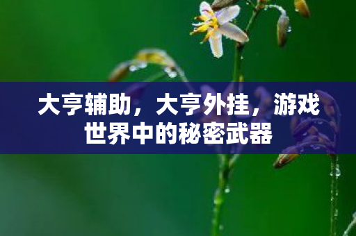 大亨辅助，大亨外挂，游戏世界中的秘密武器