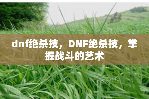 dnf绝杀技,DNF绝杀技,掌握战斗的艺术 dnf绝杀技,DNF绝杀技,掌握战斗的艺术