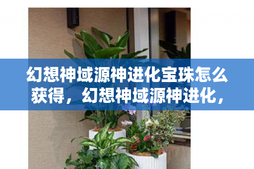 幻想神域源神进化宝珠怎么获得，幻想神域源神进化，探索无限可能的奇幻之旅