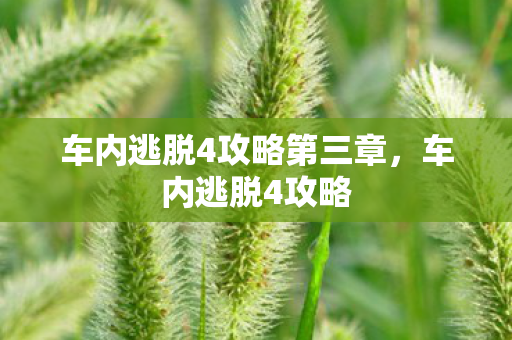 车内逃脱4攻略第三章,车内逃脱4攻略 车内逃脱4攻略第三章,车内逃脱4攻略
