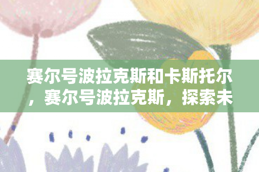 赛尔号波拉克斯和卡斯托尔，赛尔号波拉克斯，探索未知宇宙，挑战无限可能