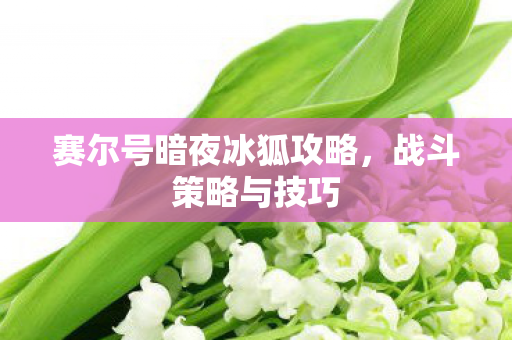 赛尔号暗夜冰狐攻略，战斗策略与技巧