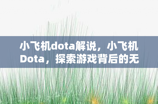 小飞机dota解说,小飞机Dota,探索游戏背后的无限可能 小飞机dota解说,小飞机Dota,探索游戏背后的无限可能