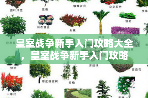 皇室战争新手入门攻略大全,皇室战争新手入门攻略 皇室战争新手入门攻略大全,皇室战争新手入门攻略