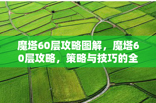 魔塔60层攻略图解,魔塔60层攻略,策略与技巧的全面解析 魔塔60层攻略图解,魔塔60层攻略,策略与技巧的全面解析