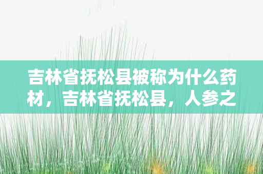 吉林省抚松县被称为什么药材,吉林省抚松县,人参之乡的传奇故事 吉林省抚松县被称为什么药材,吉林省抚松县,人参之乡的传奇故事