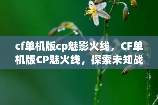 cf单机版cp魅影火线，CF单机版CP魅火线，探索未知战场，尽享射击乐趣