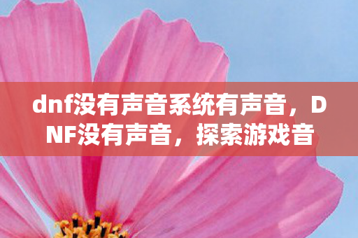 dnf没有声音系统有声音，DNF没有声音，探索游戏音频缺失的深层原因与解决方案