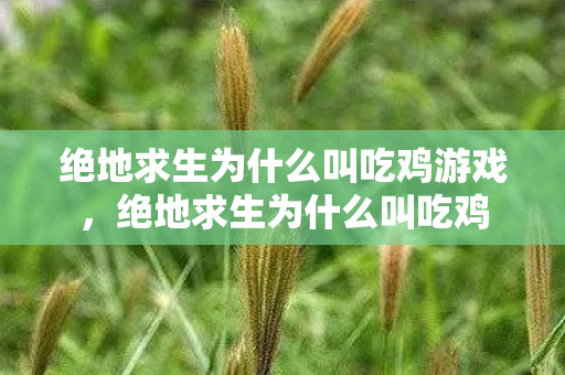 绝地求生为什么叫吃鸡游戏,绝地求生为什么叫吃鸡 绝地求生为什么叫吃鸡游戏,绝地求生为什么叫吃鸡
