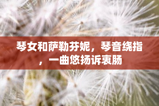 琴女和萨勒芬妮，琴音绕指，一曲悠扬诉衷肠