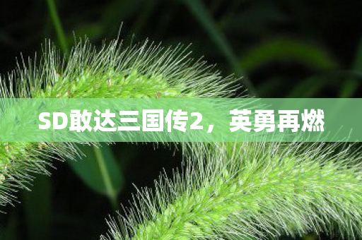 SD敢达三国传2，英勇再燃