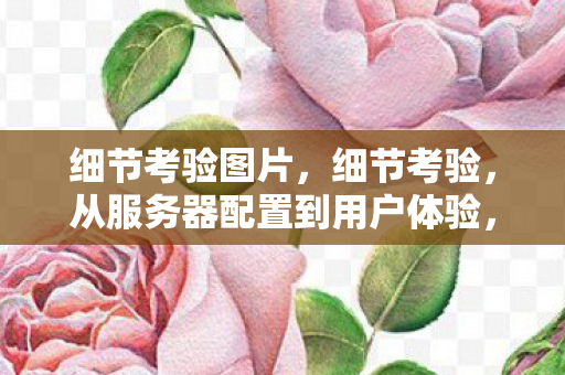 细节考验图片,细节考验,从服务器配置到用户体验,揭秘游戏服务器的隐形差异 细节考验图片,细节考验,从服务器配置到用户体验,揭秘游戏服务器的隐形差异