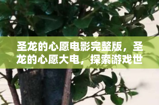 圣龙的心愿电影完整版，圣龙的心愿大电，探索游戏世界的奇幻之旅