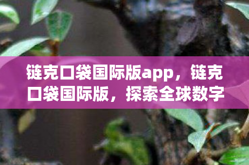 链克口袋国际版app,链克口袋国际版,探索全球数字资产的新篇章 链克口袋国际版app,链克口袋国际版,探索全球数字资产的新篇章