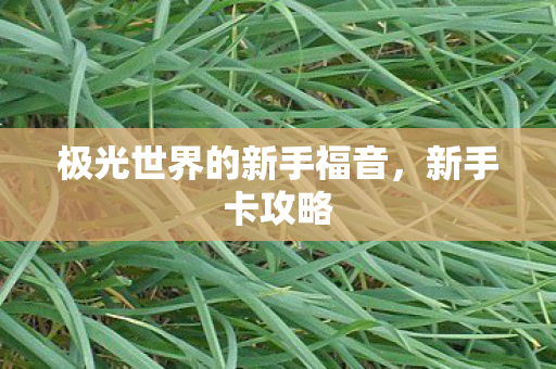 极光世界的新手福音,新手卡攻略 极光世界的新手福音,新手卡攻略