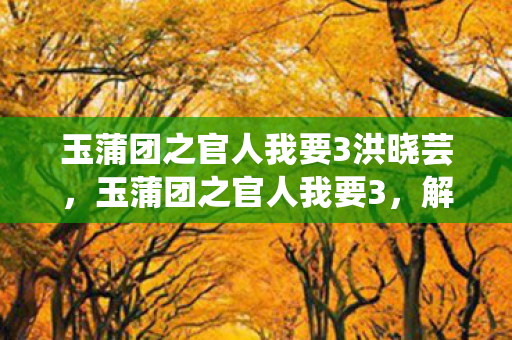 玉蒲团之官人我要3洪晓芸，玉蒲团之官人我要3，解锁古风恋爱的甜蜜瞬间