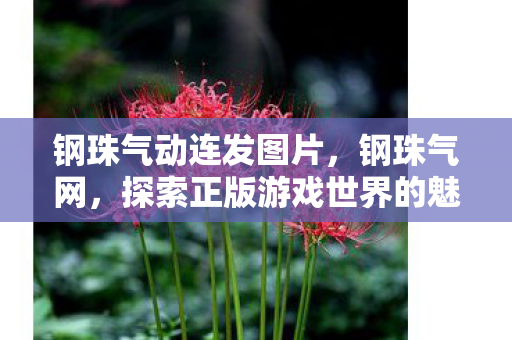 钢珠气动连发图片，钢珠气网，探索正版游戏世界的魅力
