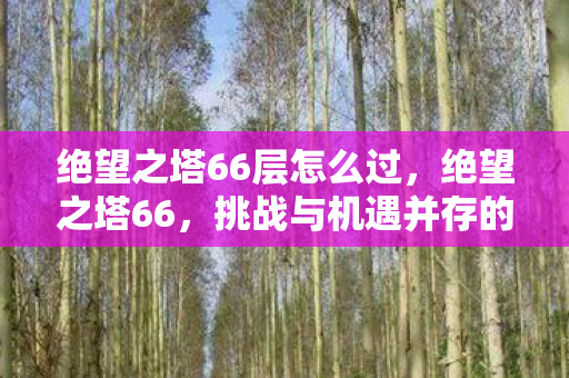 绝望之塔66层怎么过,绝望之塔66,挑战与机遇并存的未知领域 绝望之塔66层怎么过,绝望之塔66,挑战与机遇并存的未知领域