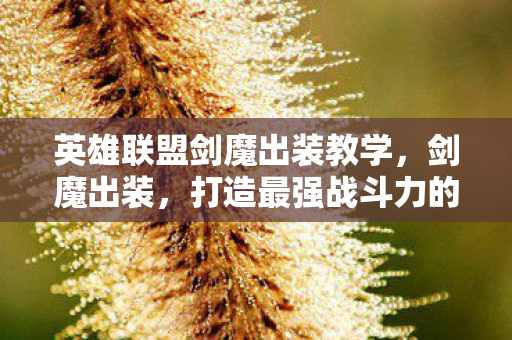 英雄联盟剑魔出装教学,剑魔出装,打造最强战斗力的关键 英雄联盟剑魔出装教学,剑魔出装,打造最强战斗力的关键