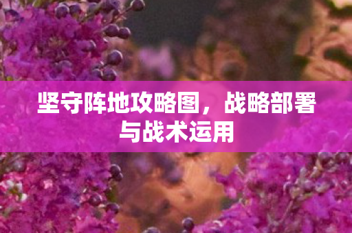 坚守阵地攻略图,战略部署与战术运用 坚守阵地攻略图,战略部署与战术运用
