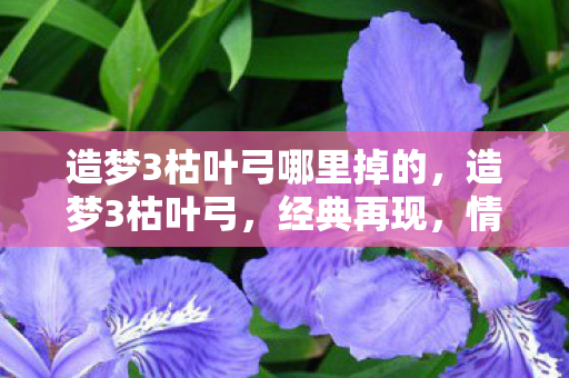 造梦3枯叶弓哪里掉的,造梦3枯叶弓,经典再现,情怀与实力并存 造梦3枯叶弓哪里掉的,造梦3枯叶弓,经典再现,情怀与实力并存