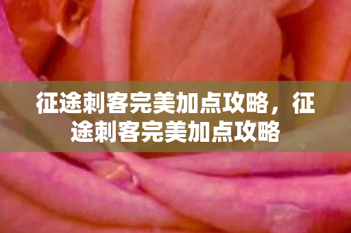 征途刺客完美加点攻略，征途刺客完美加点攻略