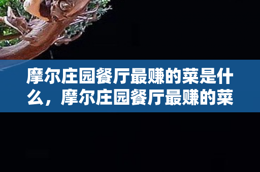 摩尔庄园餐厅最赚的菜是什么,摩尔庄园餐厅最赚的菜,打造财富之地的美食秘籍 摩尔庄园餐厅最赚的菜是什么,摩尔庄园餐厅最赚的菜,打造财富之地的美食秘籍