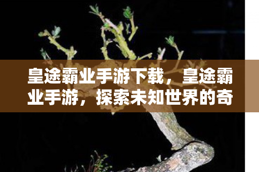 皇途霸业手游下载,皇途霸业手游,探索未知世界的奇幻之旅 皇途霸业手游下载,皇途霸业手游,探索未知世界的奇幻之旅