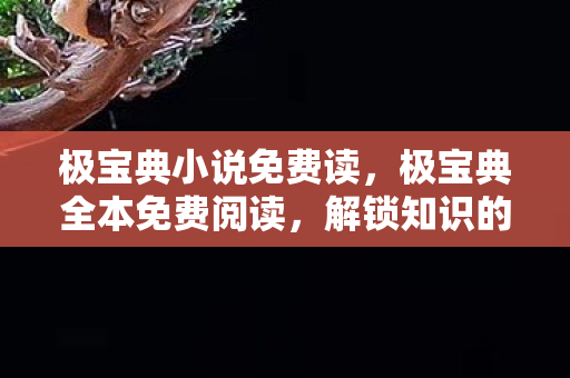 极宝典小说免费读，极宝典全本免费阅读，解锁知识的新时代