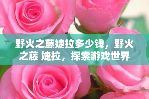 野火之藤婕拉多少钱,野火之藤 婕拉,探索游戏世界的独特魅力 野火之藤婕拉多少钱,野火之藤 婕拉,探索游戏世界的独特魅力