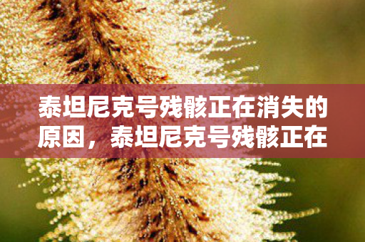 泰坦尼克号残骸正在消失的原因,泰坦尼克号残骸正在消失 泰坦尼克号残骸正在消失的原因,泰坦尼克号残骸正在消失