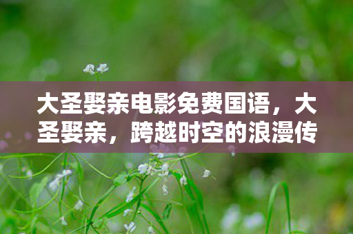 大圣娶亲电影免费国语,大圣娶亲,跨越时空的浪漫传奇 大圣娶亲电影免费国语,大圣娶亲,跨越时空的浪漫传奇