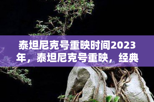泰坦尼克号重映时间2023年，泰坦尼克号重映，经典再现，情怀依旧