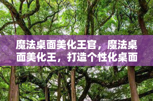 魔法桌面美化王官，魔法桌面美化王，打造个性化桌面的艺术之旅