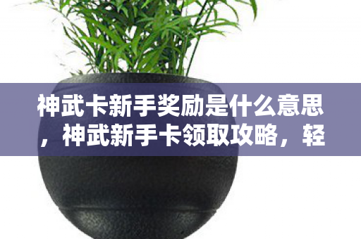 神武卡新手奖励是什么意思,神武新手卡领取攻略,轻松获取丰厚奖励 神武卡新手奖励是什么意思,神武新手卡领取攻略,轻松获取丰厚奖励