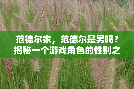 范德尔家,范德尔是男吗?揭秘一个游戏角色的性别之谜 范德尔家,范德尔是男吗?揭秘一个游戏角色的性别之谜