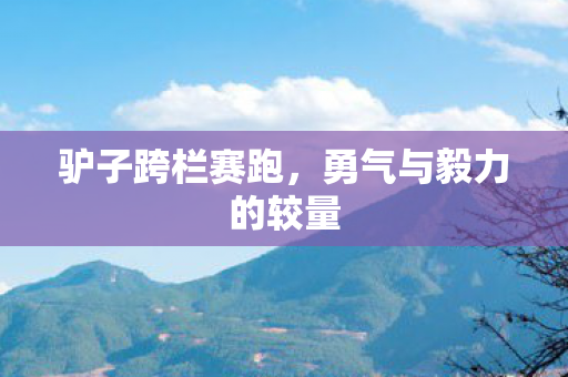驴子跨栏赛跑，勇气与毅力的较量