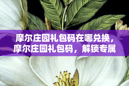 摩尔庄园礼包码在哪兑换,摩尔庄园礼包码,解锁专属福利,畅游梦幻庄园 摩尔庄园礼包码在哪兑换,摩尔庄园礼包码,解锁专属福利,畅游梦幻庄园