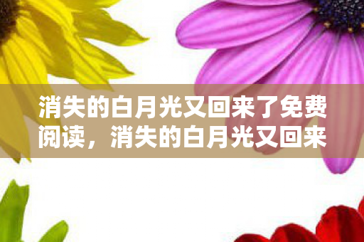 消失的白月光又回来了免费阅读,消失的白月光又回来了 消失的白月光又回来了免费阅读,消失的白月光又回来了