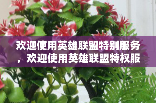 欢迎使用英雄联盟特别服务,欢迎使用英雄联盟特权服务 欢迎使用英雄联盟特别服务,欢迎使用英雄联盟特权服务