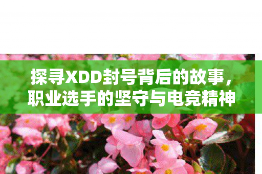 探寻XDD封号背后的故事,职业选手的坚守与电竞精神的传承 探寻XDD封号背后的故事,职业选手的坚守与电竞精神的传承
