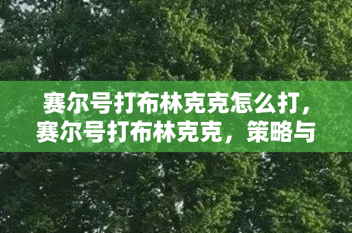 赛尔号打布林克克怎么打,赛尔号打布林克克,策略与技巧的深度剖析 赛尔号打布林克克怎么打,赛尔号打布林克克,策略与技巧的深度剖析