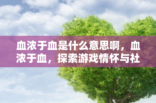血浓于血是什么意思啊,血浓于血,探索游戏情怀与社区文化的深度交融 血浓于血是什么意思啊,血浓于血,探索游戏情怀与社区文化的深度交融