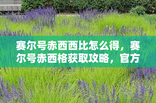 赛尔号赤西西比怎么得，赛尔号赤西格获取攻略，官方途径与策略分享