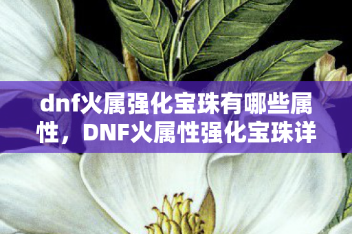 dnf火属强化宝珠有哪些属性,DNF火属性强化宝珠详解,提升战斗力的关键 dnf火属强化宝珠有哪些属性,DNF火属性强化宝珠详解,提升战斗力的关键